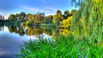 Картинка германия нордштадт природа реки озера река камыши