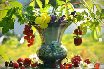 Картинка еда фрукты ягоды клубника смородина ваза
