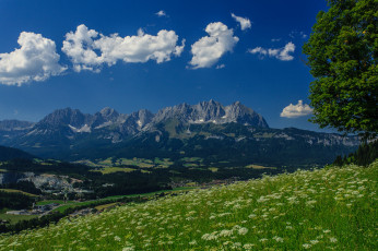 Картинка wilder kaiser austria природа горы панорама дерево луг альпы австрия гора вильдер кайзер alps