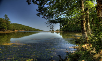Картинка nebrodi lago maulazzo природа реки озера лето водоросли лес река