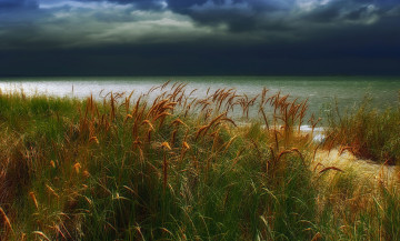 обоя природа, побережье, горизонт, трава, берег, тучи, океан, сумрак