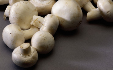 Картинка еда грибы грибные блюда шампиньоны