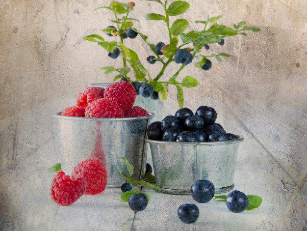 Обои картинки фото еда, фрукты, ягоды, малина, текстура, черника
