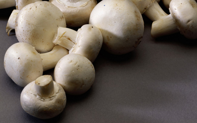 Обои картинки фото еда, грибы, грибные, блюда, шампиньоны