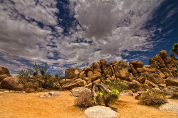 Картинка природа пустыни кактусы валуны облака
