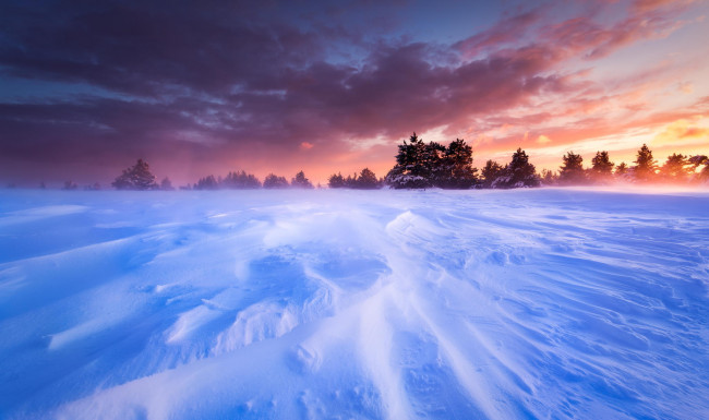 Обои картинки фото природа, зима, пейзаж, метель, небо, закат, снег, равнина, франция, прованс, плато, деревья
