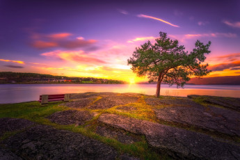 Картинка природа восходы закаты озеро закат дерево