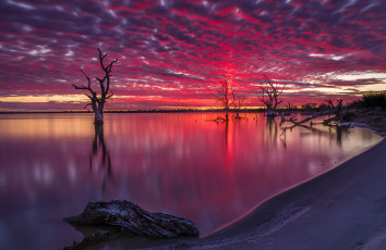 Картинка природа восходы закаты деревья озеро ночь