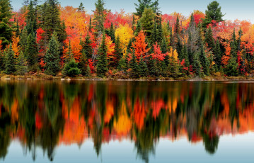 Картинка природа реки озера лес деревья озеро отражение осень