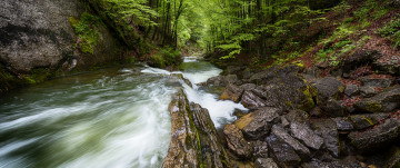 Картинка природа реки озера поток лес камни