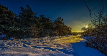 Картинка природа зима снег лес поле свет
