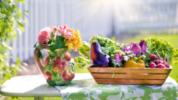 Картинка еда овощи лето стол скатерть ящик ваза цветы