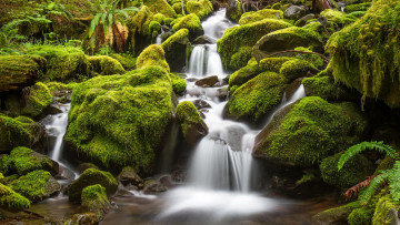 Картинка природа водопады лес мох камни река