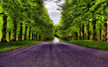 обоя природа, дороги, дорога, трава, деревья, лес