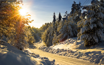 Картинка природа дороги лес снег