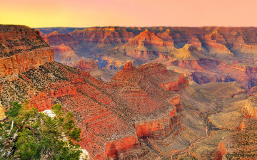 Картинка природа горы сша аризона grand canyon national park дерево закат каньон небо usa
