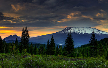 Картинка природа горы сша калифорния лес тучи закат