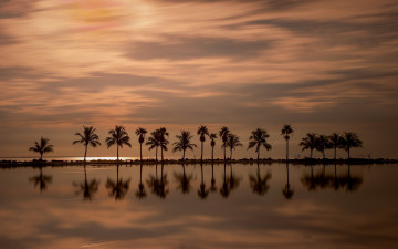Картинка природа реки озера отражение пальмы закат океан флорида майами florida atlantic ocean miami атлантический