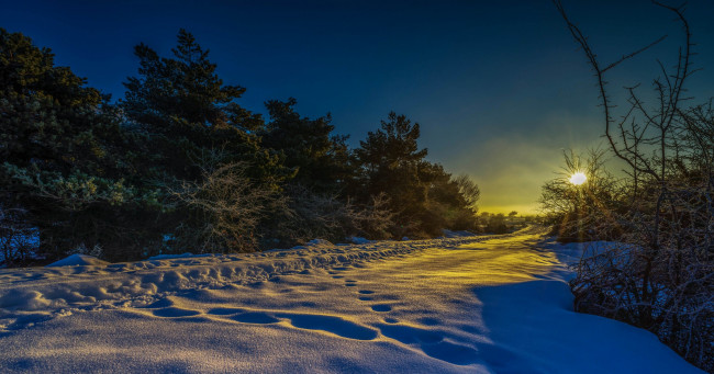 Обои картинки фото природа, зима, снег, лес, поле, свет