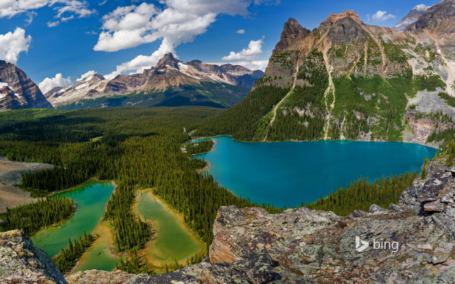 Обои картинки фото природа, реки, озера, озеро, о'хара, национальный, парк, йохо, британская, колумбия, канада, горы, деревья