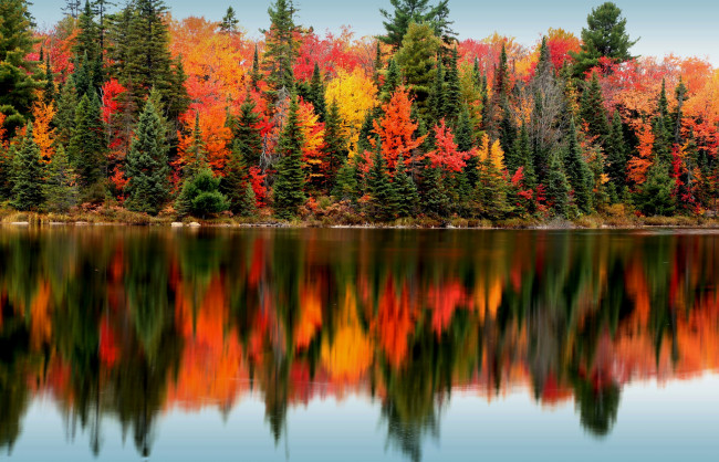 Обои картинки фото природа, реки, озера, лес, деревья, озеро, отражение, осень