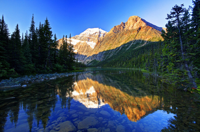 Обои картинки фото природа, реки, озера, деревья, горы, лес, отражение, дно, река, камни, солнце, небо