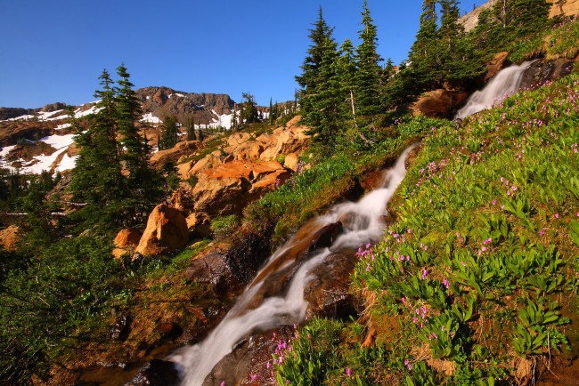 Обои картинки фото природа, горы, снег, деревья, водопад, поток, ручей, цветы, камни, склон, небо