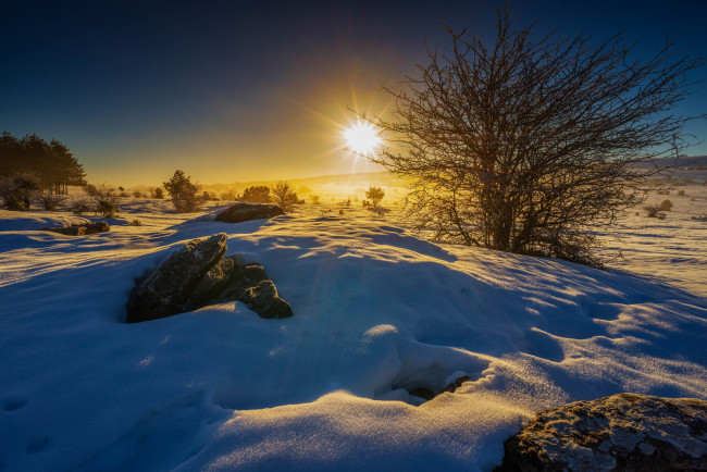 Обои картинки фото природа, зима, свет, снег, лес, поле