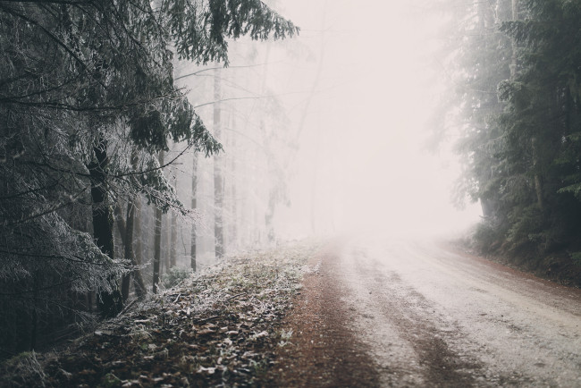 Обои картинки фото природа, зима, туман, лес, дорога