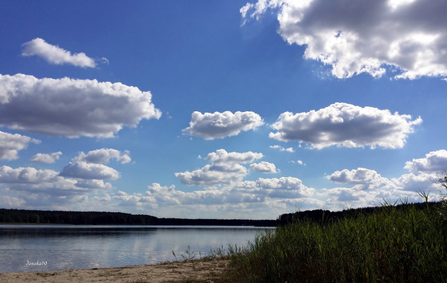 Обои картинки фото природа, реки, озера, вода, небо, облака, камыш