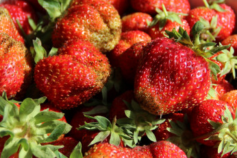 Картинка еда клубника +земляника витамины ягоды сад дача июнь лето вкусно