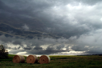 Картинка природа поля облака поле