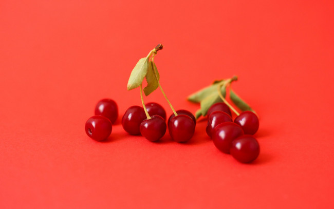 Обои картинки фото еда, вишня,  черешня, вишни
