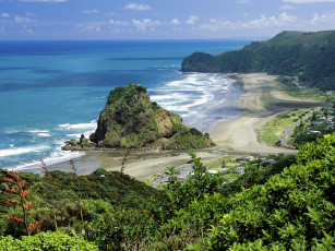 Картинка новая зеландия природа побережье