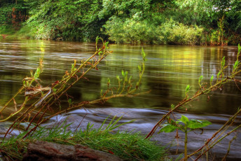 Картинка природа реки озера вода течение деревья