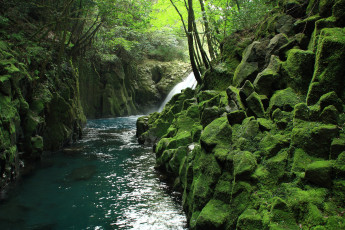 Картинка природа реки озера река лес камни