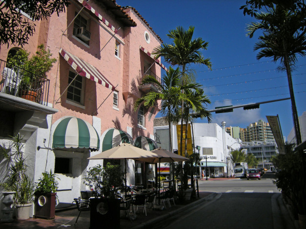 Обои картинки фото города, улицы, площади, набережные, сша, флорида, miami, пальма