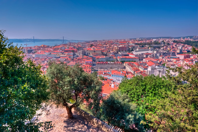 Обои картинки фото города, лиссабон, португалия, панорама, крыши