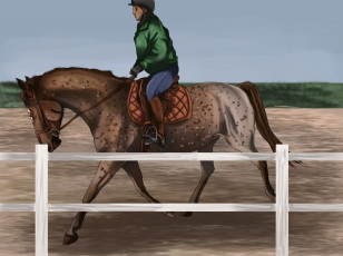 Картинка рисованные животные лошади всадник прогулка забор