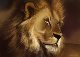 Картинка рисованные животные львы лев