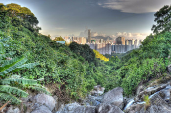 Картинка hong kong города гонконг китай панорама растительность город камни