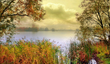 Картинка природа реки озера камыш осень лес озеро дымка
