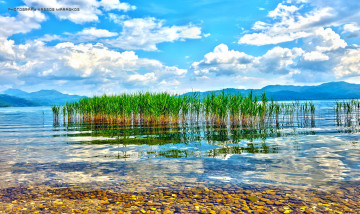 Картинка природа реки озера галька озеро горы тростник облака кристальная вода