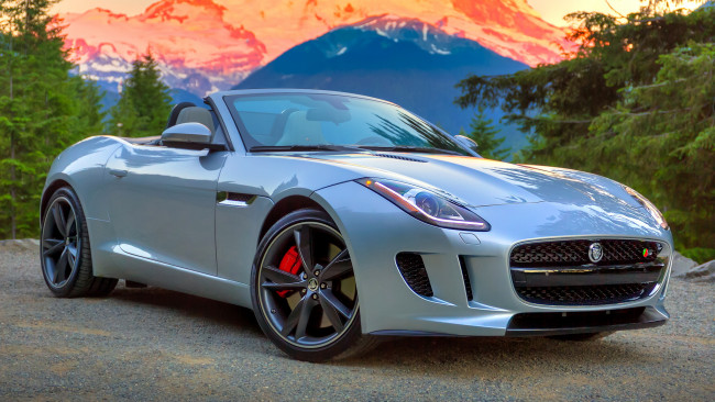 Обои картинки фото jaguar, type, автомобили, класс-люкс, великобритания, land, rover, ltd, легковые