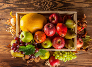 обоя еда, фрукты и овощи вместе, ящик, листья, виноград, груша, тыква