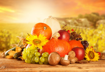 Картинка еда фрукты+и+овощи+вместе цветы орехи грибы яблоки виноград тыква