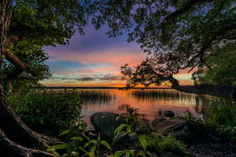 Картинка природа реки озера озеро закат деревья крапива