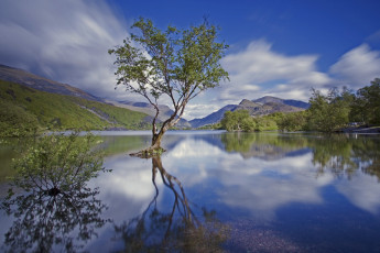 Картинка природа реки озера сноудония северный уэльс англия национальный парк горы озеро дерево