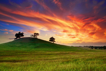 Картинка природа восходы закаты небо поле май калифорния сша облака деревья трава весна закат