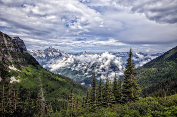 Картинка природа горы лес облака